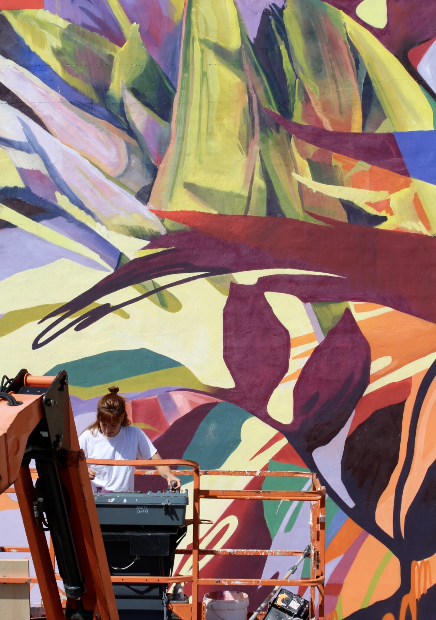 Mural Graffitea Cheste 3