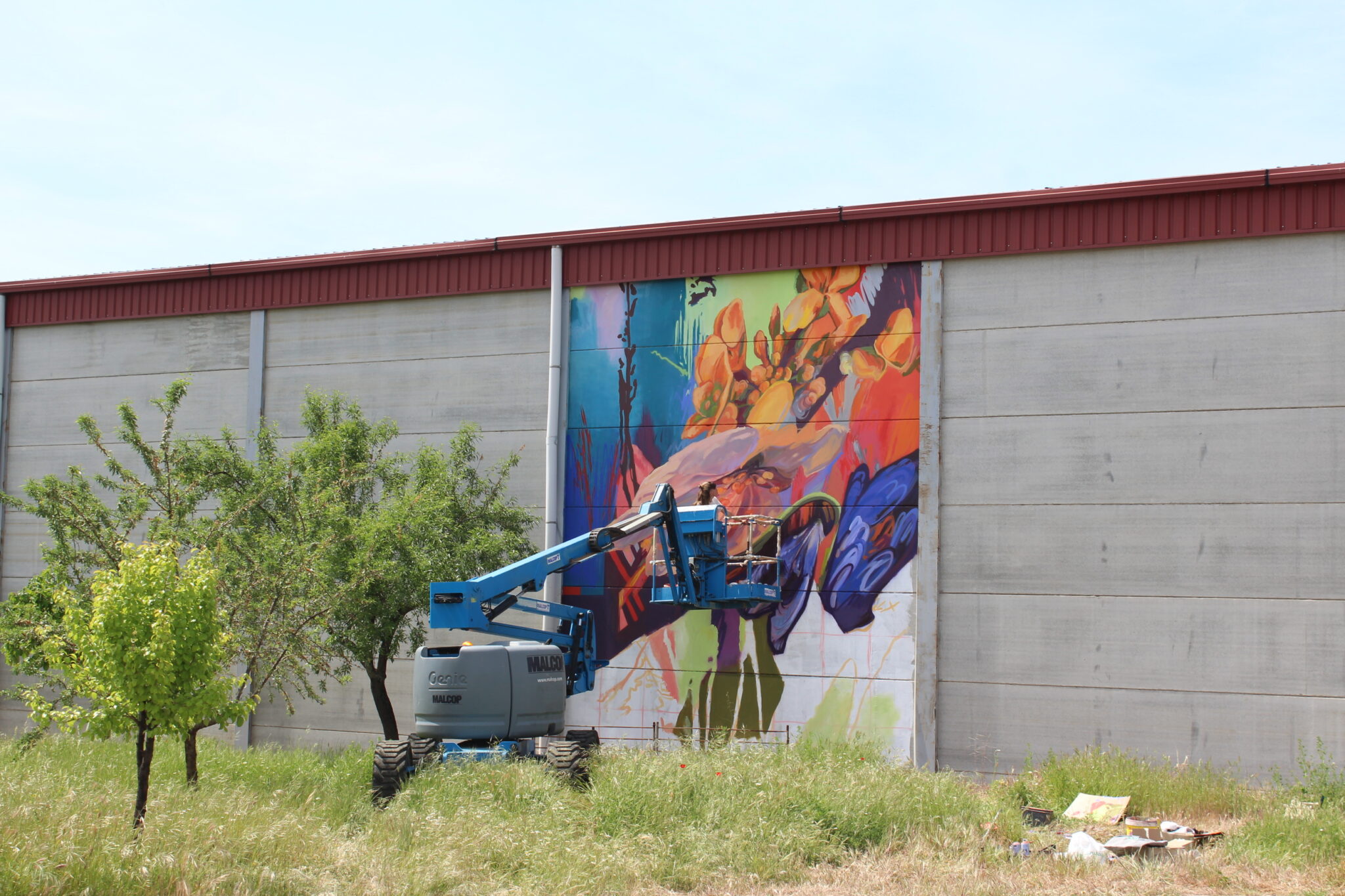 Mural particular-4